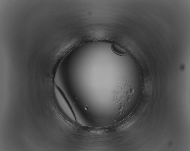 X0000093460450200710191127