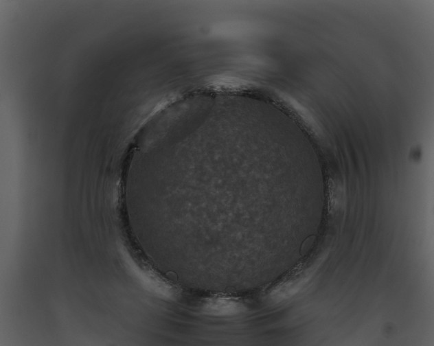 X0000093460451200710191127