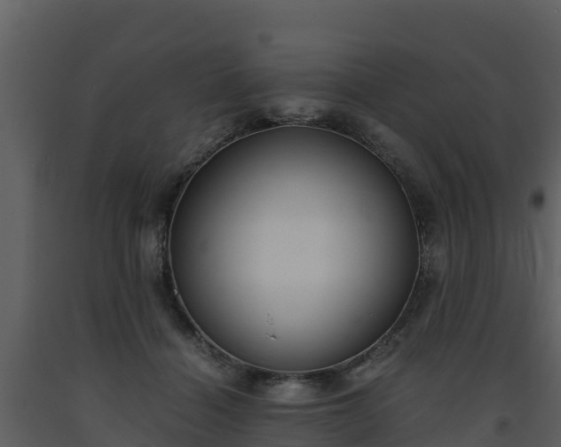 X0000093460460200710191127