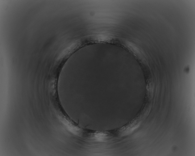 X0000093460462200710191127