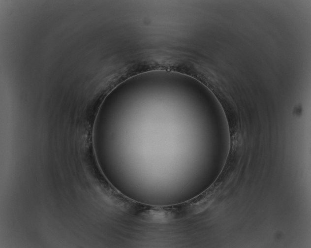 X0000093460464200710191127