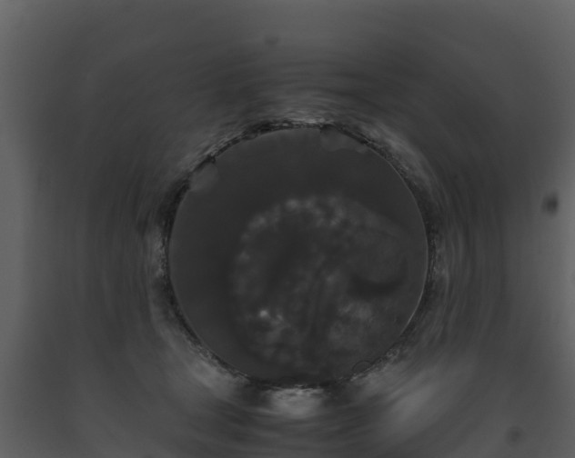 X0000093460465200710191127