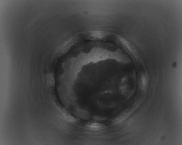 X0000093460467200710191127