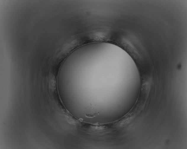 X0000093460469200710191128