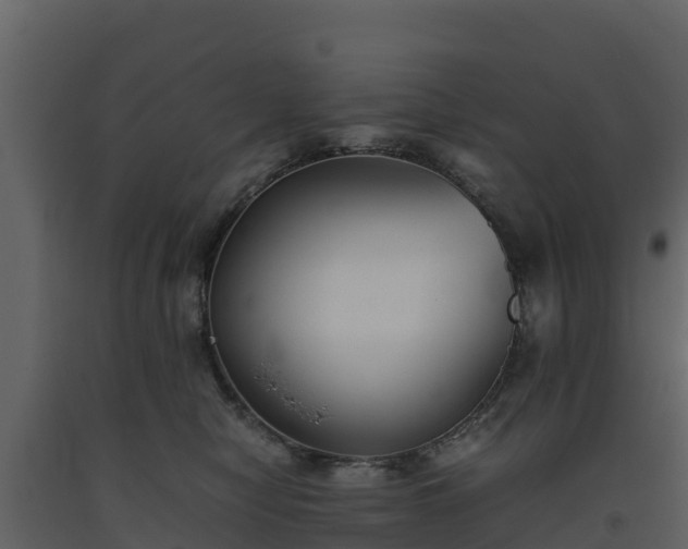 X0000093460470200710191128