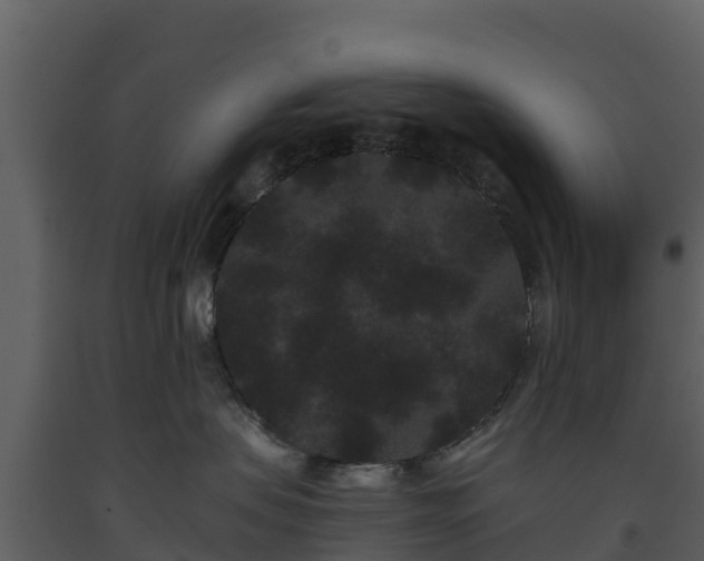 X0000093460479200710191128