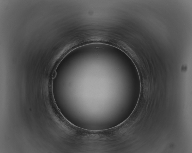 X0000093460482200710191127