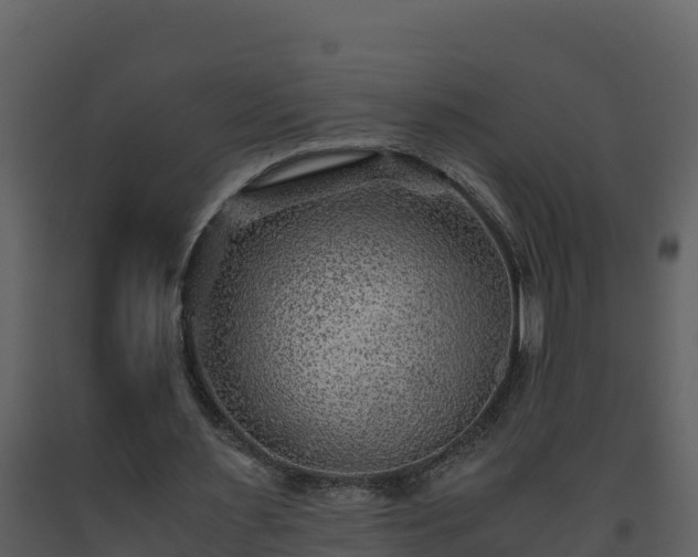 X0000093460483200710191127