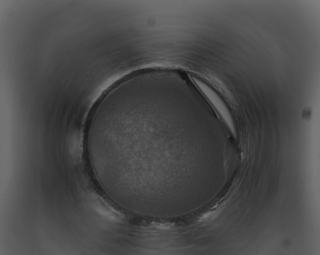 X0000093460484200710191127