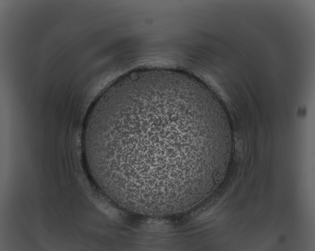 X0000093460487200710191127