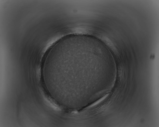 X0000093460488200710191127