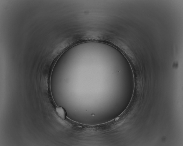 X0000093460489200710191127