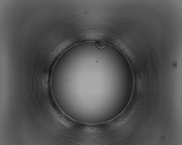 X0000093460490200710191127