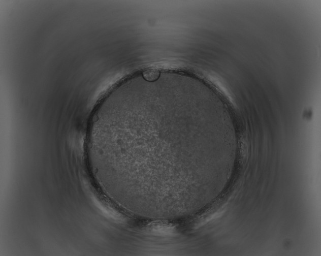 X0000093460491200710191127