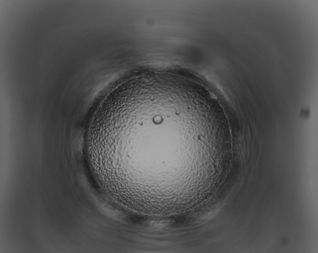 X0000093460495200710191127