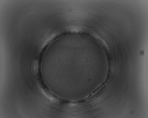 X0000093460496200710191127