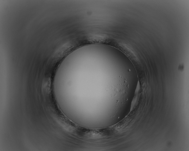 X0000093460498200710191127