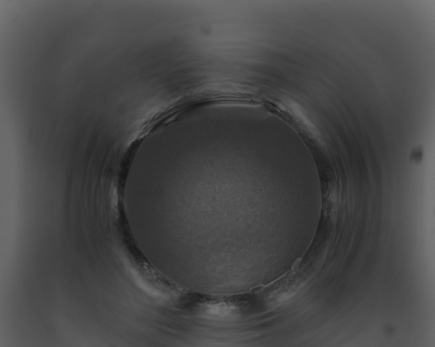 X0000093460500200710191127