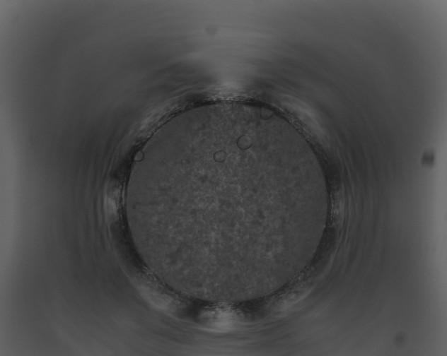 X0000093460503200710191127