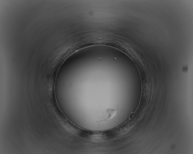 X0000093460505200710191127