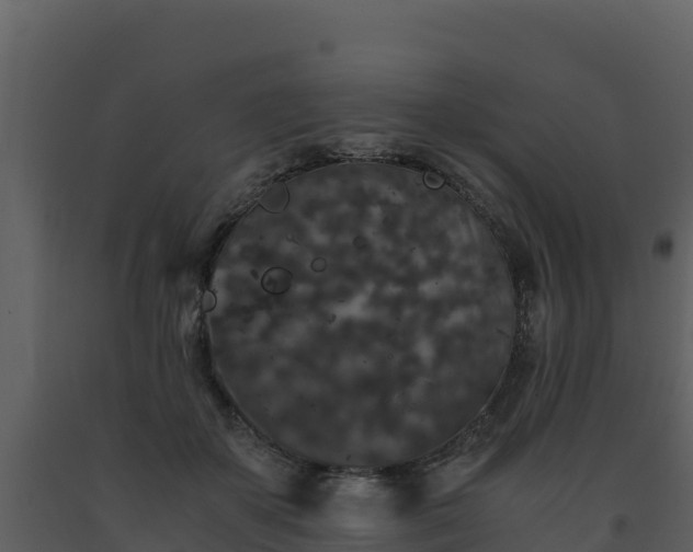 X0000093460507200710191127