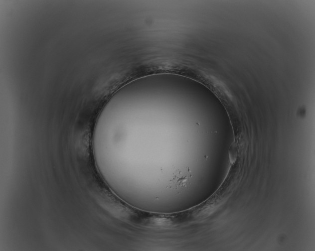 X0000093460509200710191127