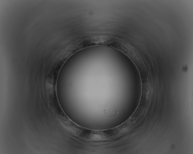 X0000093460510200710191127