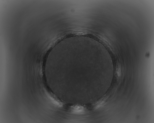 X0000093460512200710191127