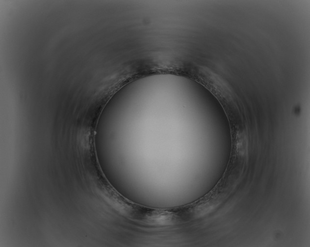 X0000093460514200710191127