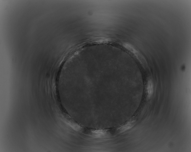 X0000093460516200710191127