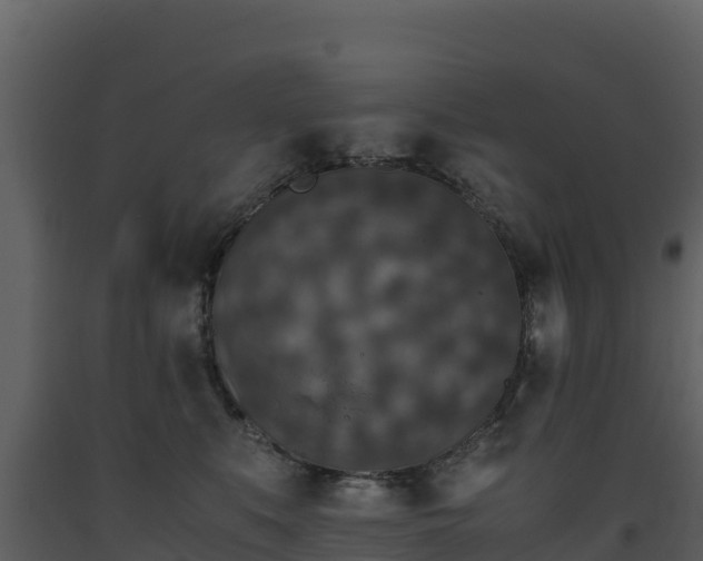 X0000093460519200710191127