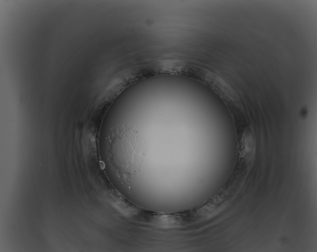 X0000093460522200710191127