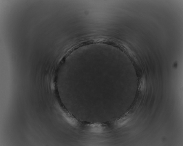 X0000093460524200710191127