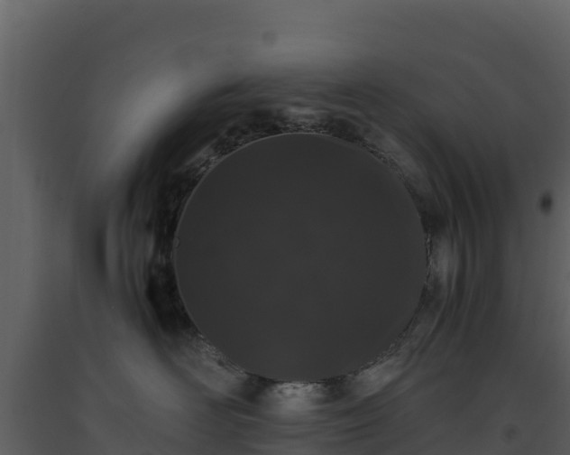 X0000093460526200710191126