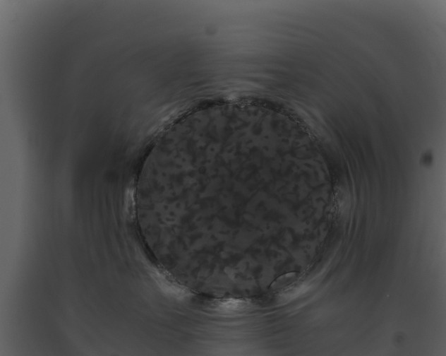 X0000093460527200710191126