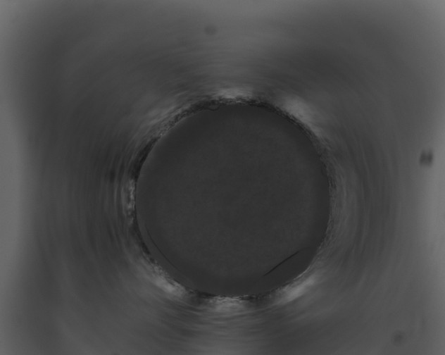 X0000093460528200710191126