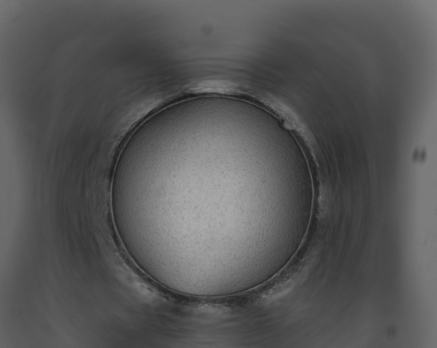 X0000093460529200710191126