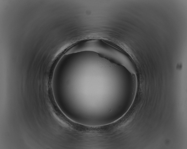 X0000093460530200710191126