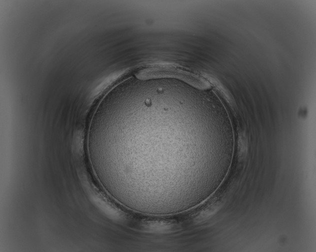 X0000093460533200710191126