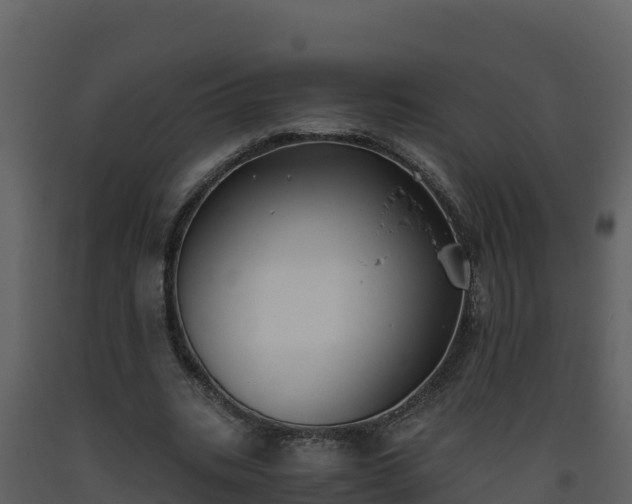 X0000093460535200710191126