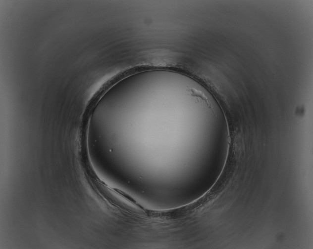 X0000093460536200710191126