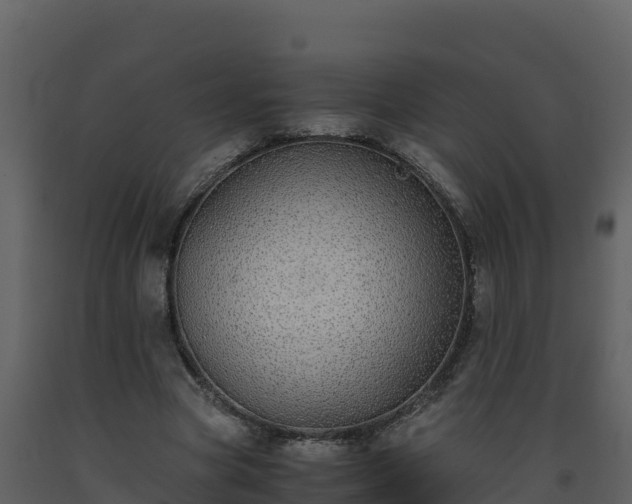 X0000093460537200710191126