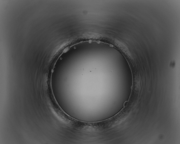 X0000093460538200710191126