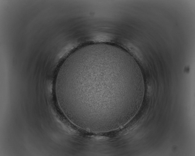 X0000093460539200710191126