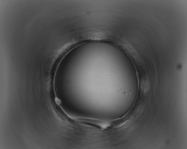 X0000093460540200710191126