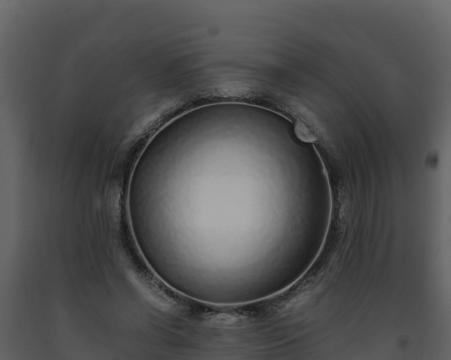 X0000093460542200710191126