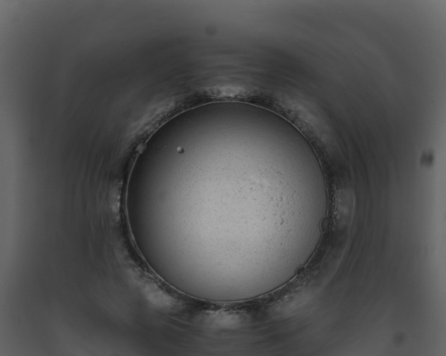 X0000093460545200710191126