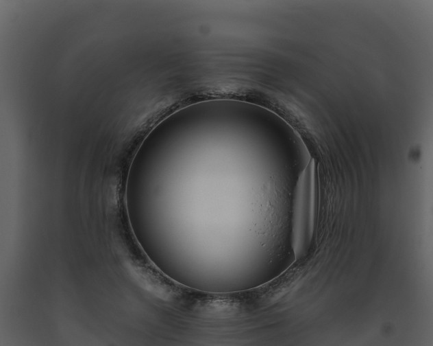 X0000093460546200710191126