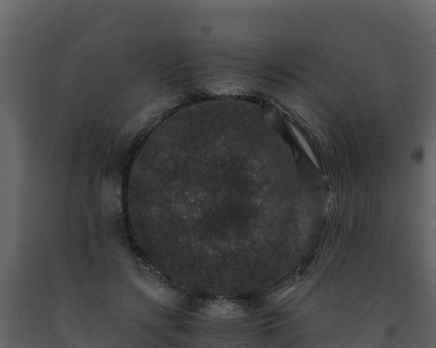 X0000093460547200710191126