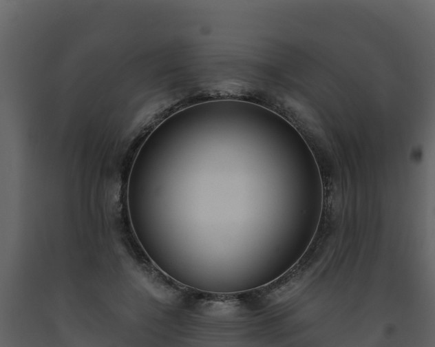 X0000093460548200710191126